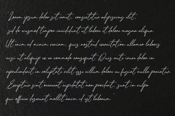 Handsome Signature Font - Preview 3