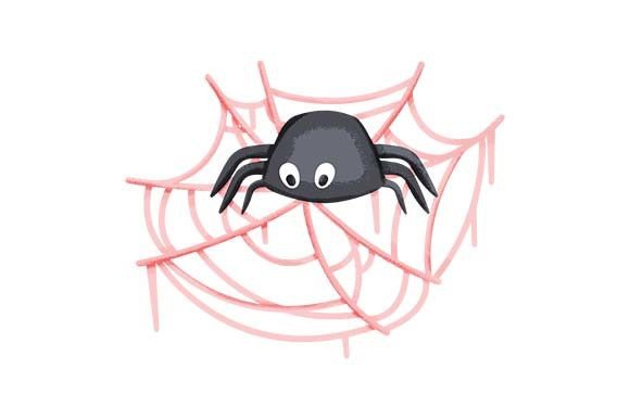Cute Spider on a Spider Web