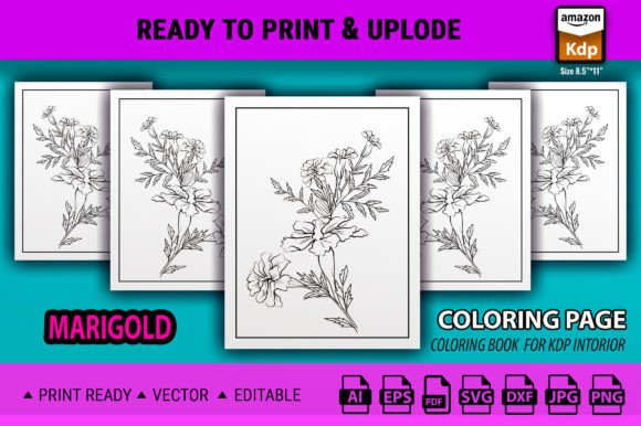 Marigold Flower Line Drawing Vector Art