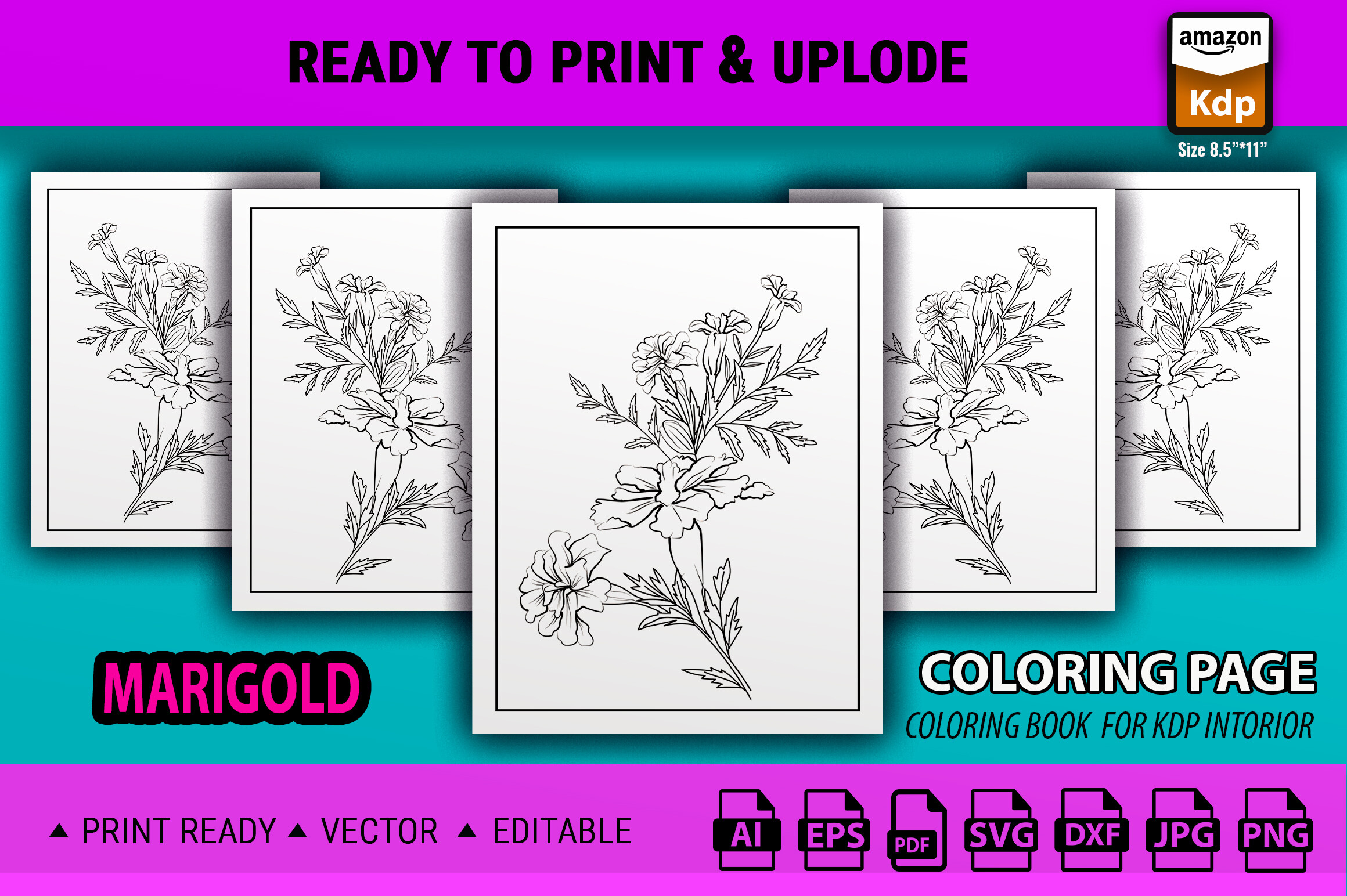 Marigold Flower Line Drawing Vector Art