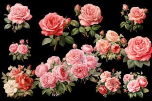 12 Vintage Roses Clipart PNG Graphic by printztopbrand · Creative Fabrica