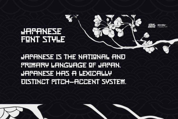 Boshoqu Font - Preview 5