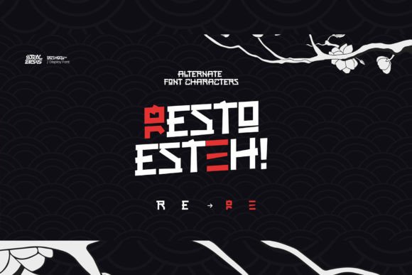 Boshoqu Font - Preview 6