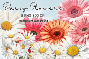 Daisy Flowers Watercolor Clipart Graphic by sasikharn · Creative Fabrica