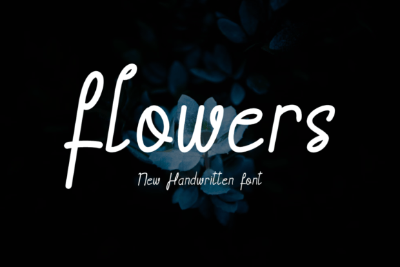 Hosplite Beautiful Font PNG with transparent background - Preview 1