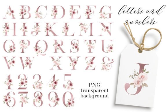 Pink Letters, Numbers. Floral alphabet.