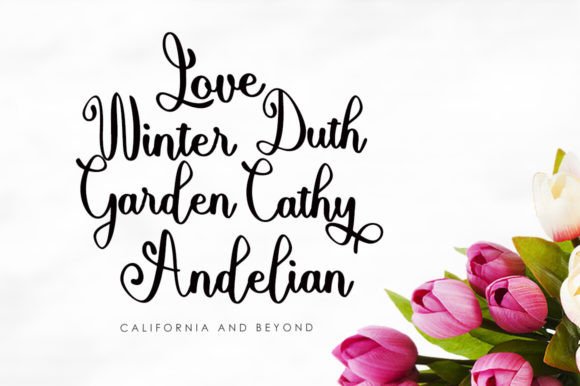 Alishan Script Font - Preview 4