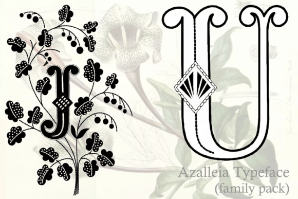 Azalleia Typeface Family Pack Font - Preview 2