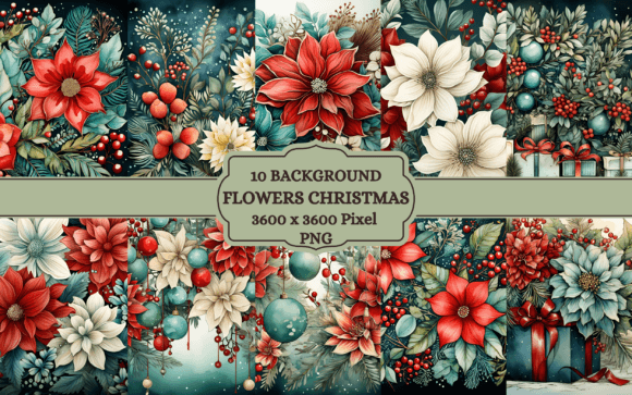 Poinsettia Flowers Christmas Background