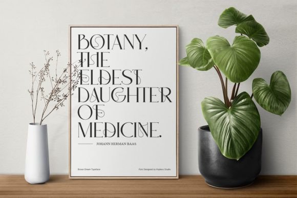 Brown Dream Font - Preview 6