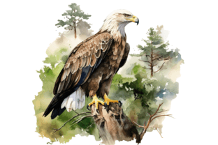 Majestic Watercolor Eagle Clipart Bundle Graphic by Andreas Stumpf ...