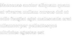 mint-and-sage-outline