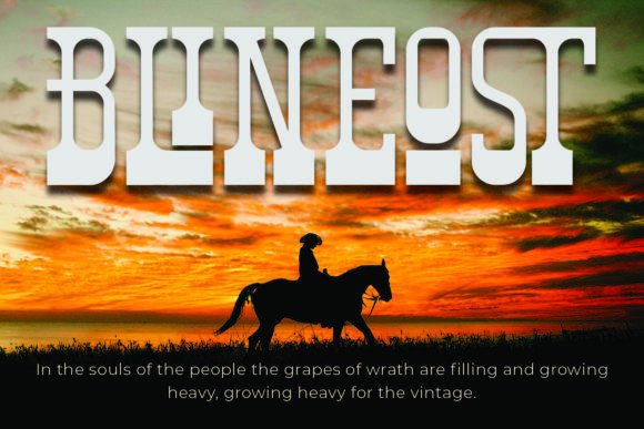 Bronhors Vasty Font - Preview 2