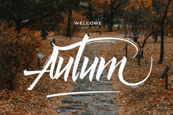 Argentina Font - Preview 2