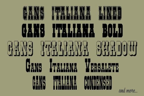 Gans Italiana Font - Preview 1