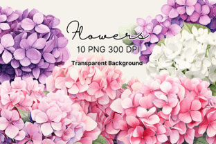 Watercolor Hydrangea Flowers Clipart Graphic by sasikharn · Creative ...
