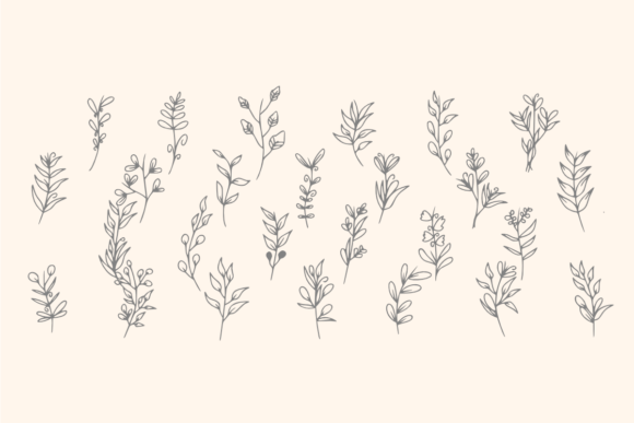 Herbalist Font PNG with transparent background - Preview 1