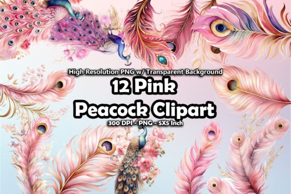 12 Graden Fairy Clipart PNG Graphic by printztopbrand · Creative Fabrica