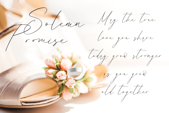 Berallopa Stinkross Font - Preview 4