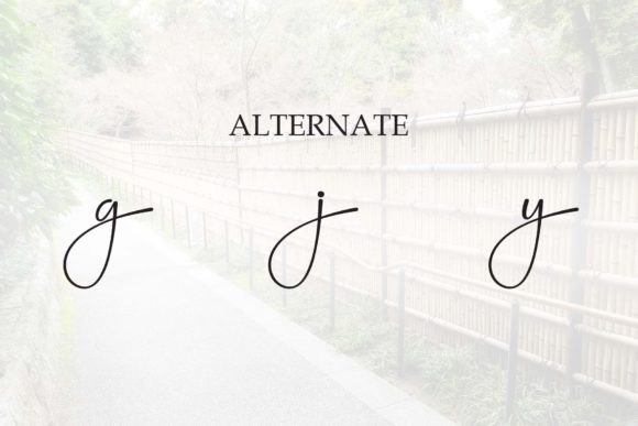 Boundary Font - Preview 6