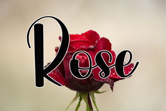 Duster Font - Preview 3