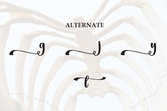 Anatomy Font - Preview 6