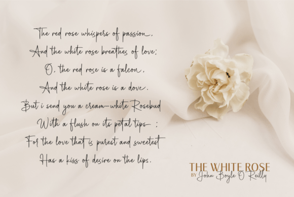 Brigetha Font - Preview 5