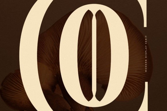 Cholten Font - Preview 2