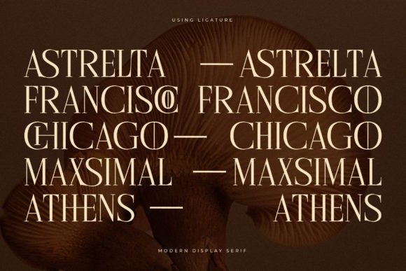 Cholten Font - Preview 6