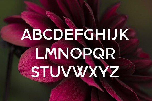Dalia Font - Preview 1