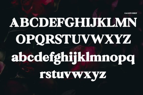 Galson Font - Preview 5