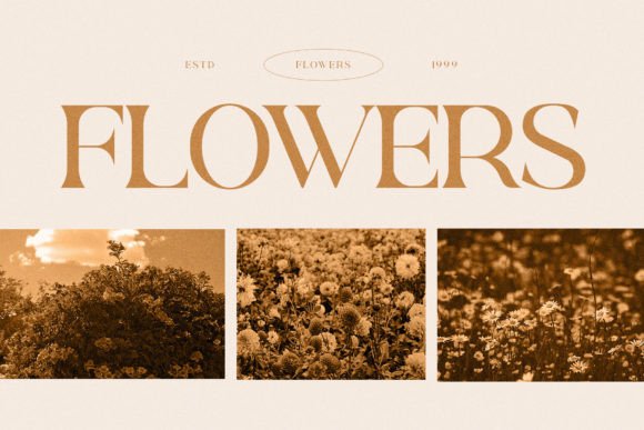 Rowun Font PNG with transparent background - Preview 3