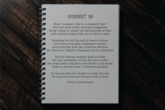 Frontype Font - Preview 4