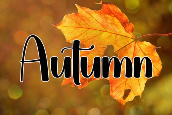 Fall Font - Preview 1