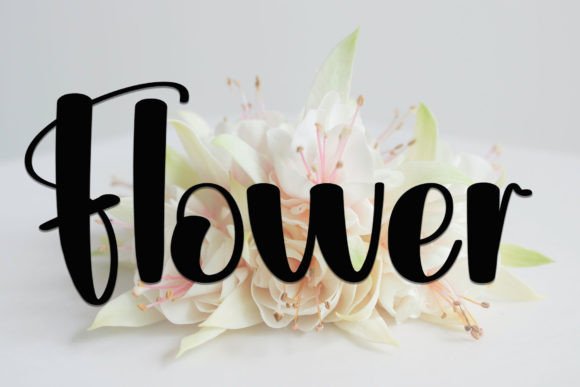 Female Font - Preview 1