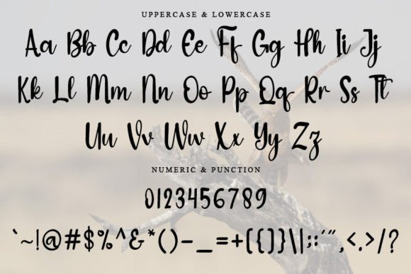 Hunting Animals Font PNG with transparent background - Preview 4