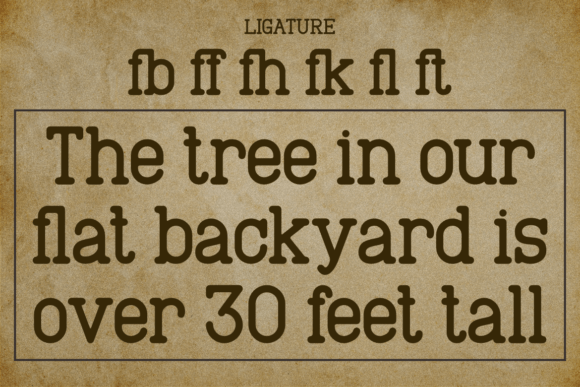 Authoring Font - Preview 5
