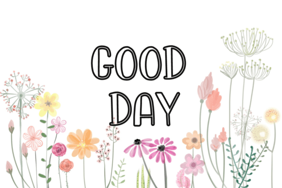 Chamomile Font - Preview 1
