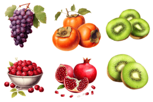 Winter Fruits Clipart Bundle Graphic by Markicha Art · Creative Fabrica