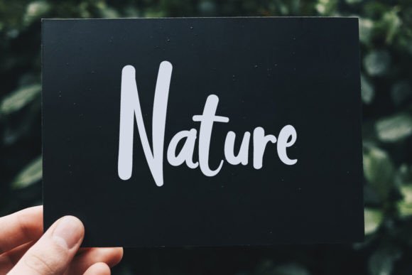 Amazing Font - Preview 1