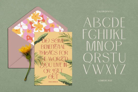 Chlorophyll Font - Preview 6