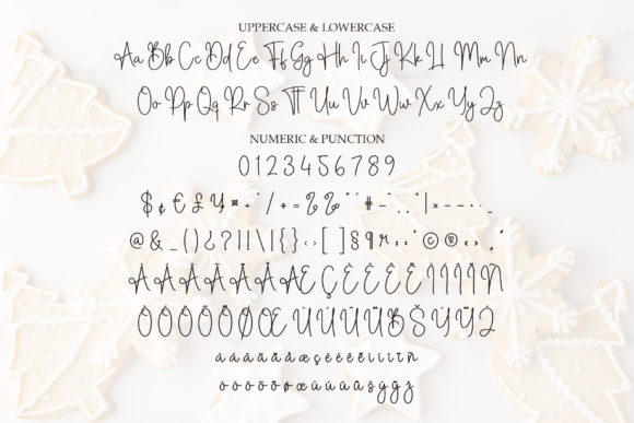 Biscuit Christmas Font - Preview 6