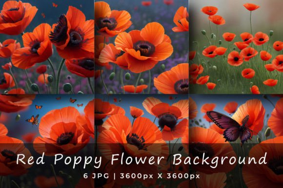 Red Poppy Flower Watercolor Backgrounds