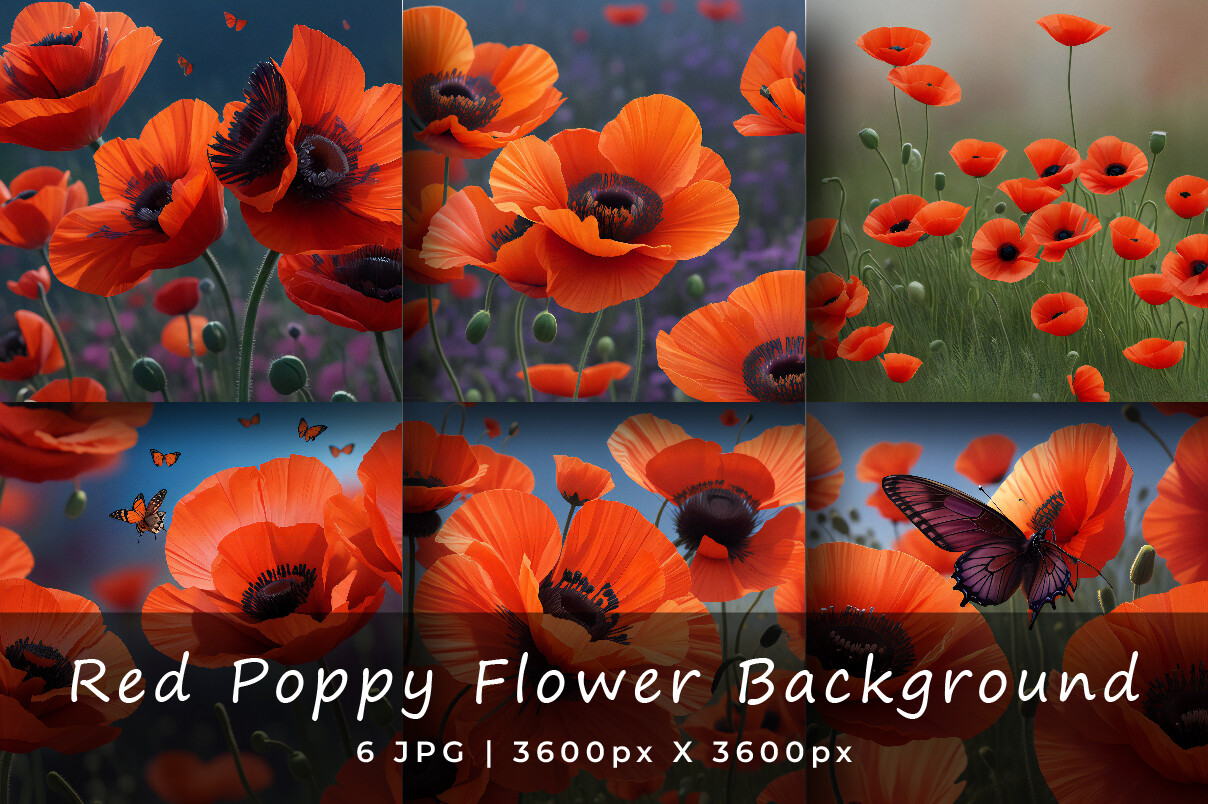 Red Poppy Flower Watercolor Backgrounds