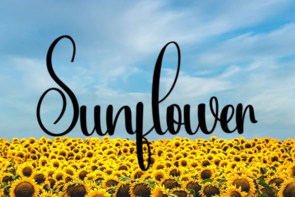 Almonds Font - Preview 4