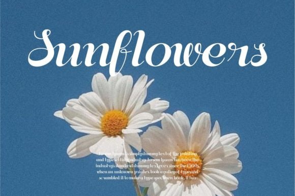 Aesthetica Font - Preview 2