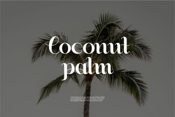 Aesthetica Font - Preview 5