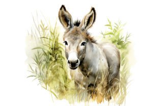 Donkey Watercolor Clipart Bundle Graphic by Andreas Stumpf Designs ...