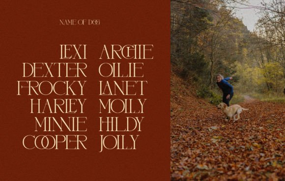Frageell Font PNG with transparent background - Preview 6