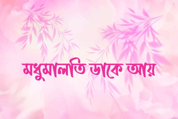 Kalekontho (কালেকণ্ঠ বাংলা ফন্ট) Font PNG with transparent background - Preview 1